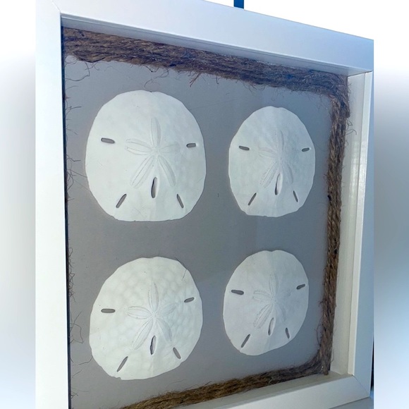 Sand Dollar Coastal Tropical Shadowbox - Picture 4 of 4